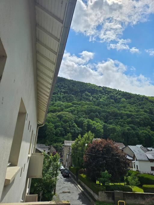 Chez Louise, Appartement T3 A Deux Pas Du Centre Bagnères-de-Luchon 외부 사진